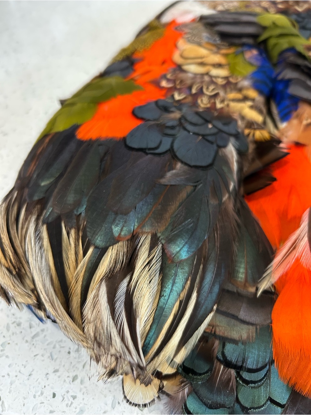 X-tra pictures of Mary McFadden feather bolero